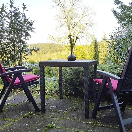 In Altenau With Balcony * Altenau (Lower-Saxony)