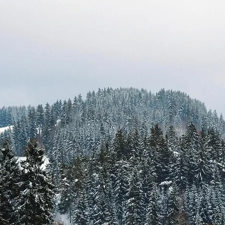 In Nahe Harzgebirge Altenau (Lower-Saxony)