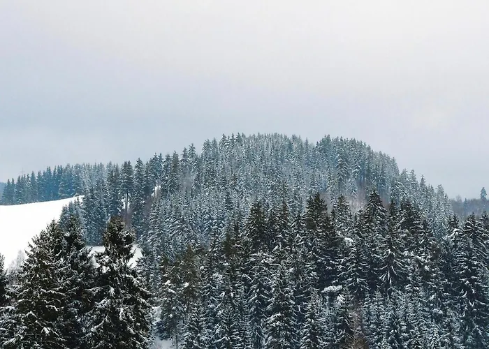 In Nahe Harzgebirge Altenau (Lower-Saxony)