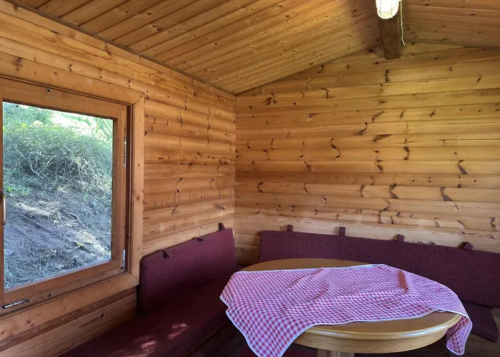 In Nahe Harzgebirge Apartment *